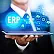 Custom ERP Services